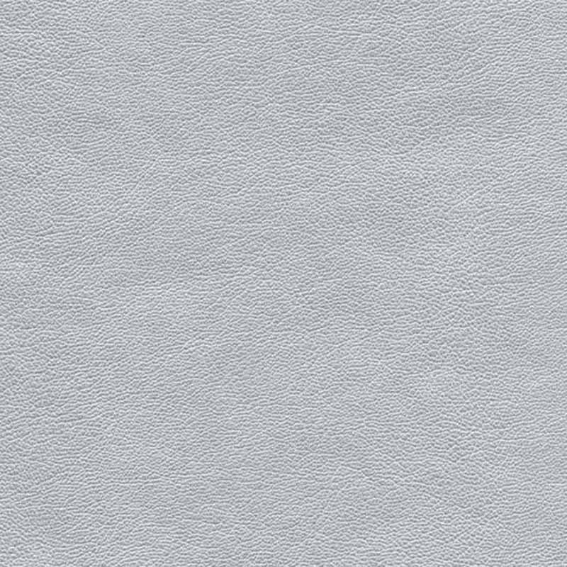 688 Silvershine | 6-8 veckor