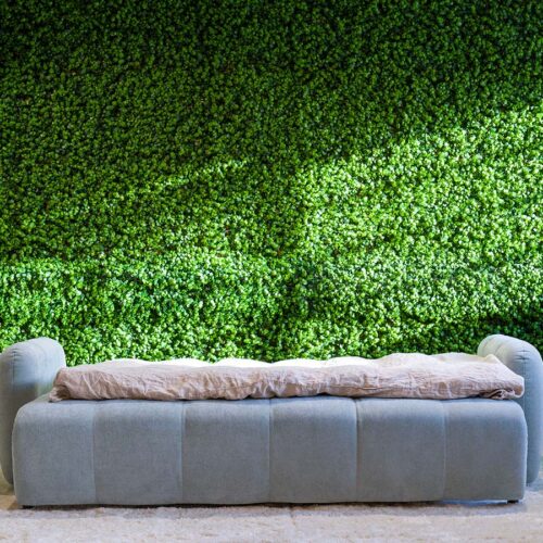 Alternative view of Snooza